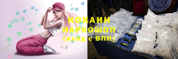 хмурый Алзамай
