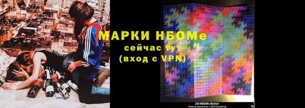 хмурый Алзамай