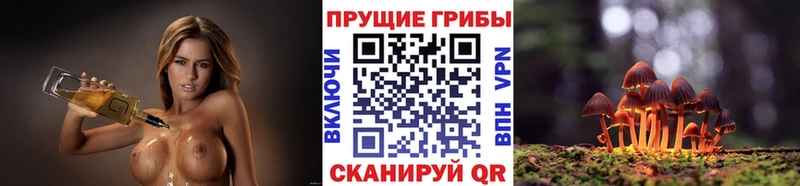 Псилоцибиновые грибы Magic Shrooms Ивангород
